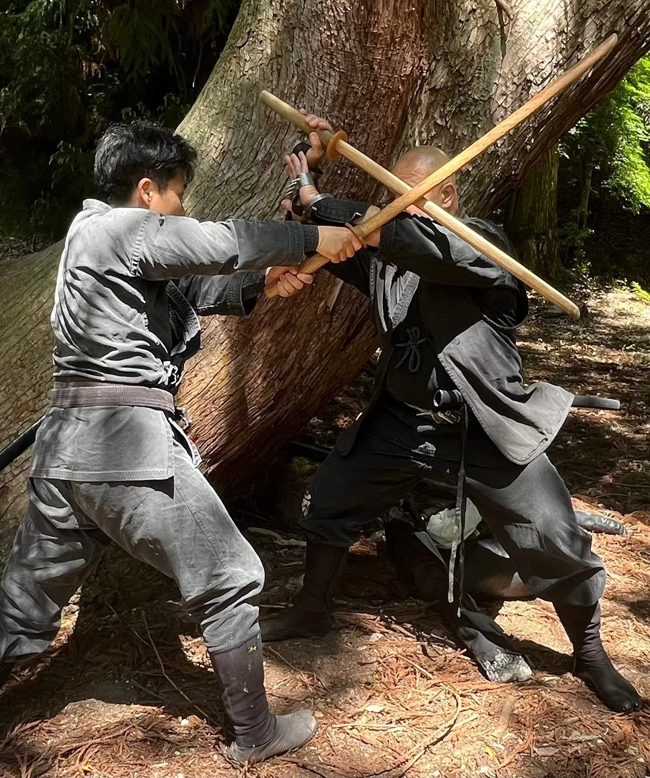 大きな幹の前で二人が木製の武器を交差させている。